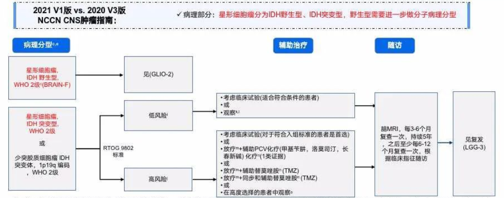 2级胶质瘤—少突胶质细胞瘤术后治疗现状和争议：全切后是否还需要放化疗？