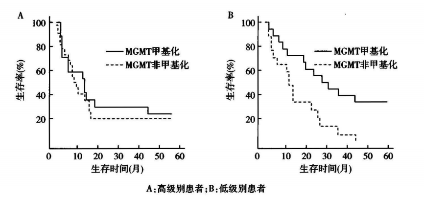 胶质瘤基因检测MGMT甲基化对诊断、治疗、预后的意义